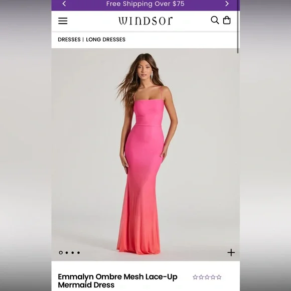 Windsor Emmalyn Ombre Mesh Lace-Up, Mermaid Dress. Brandnew!